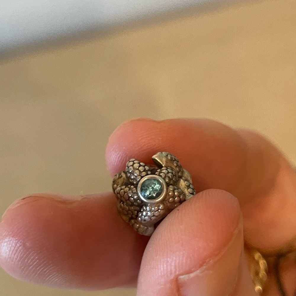 Pandora charm